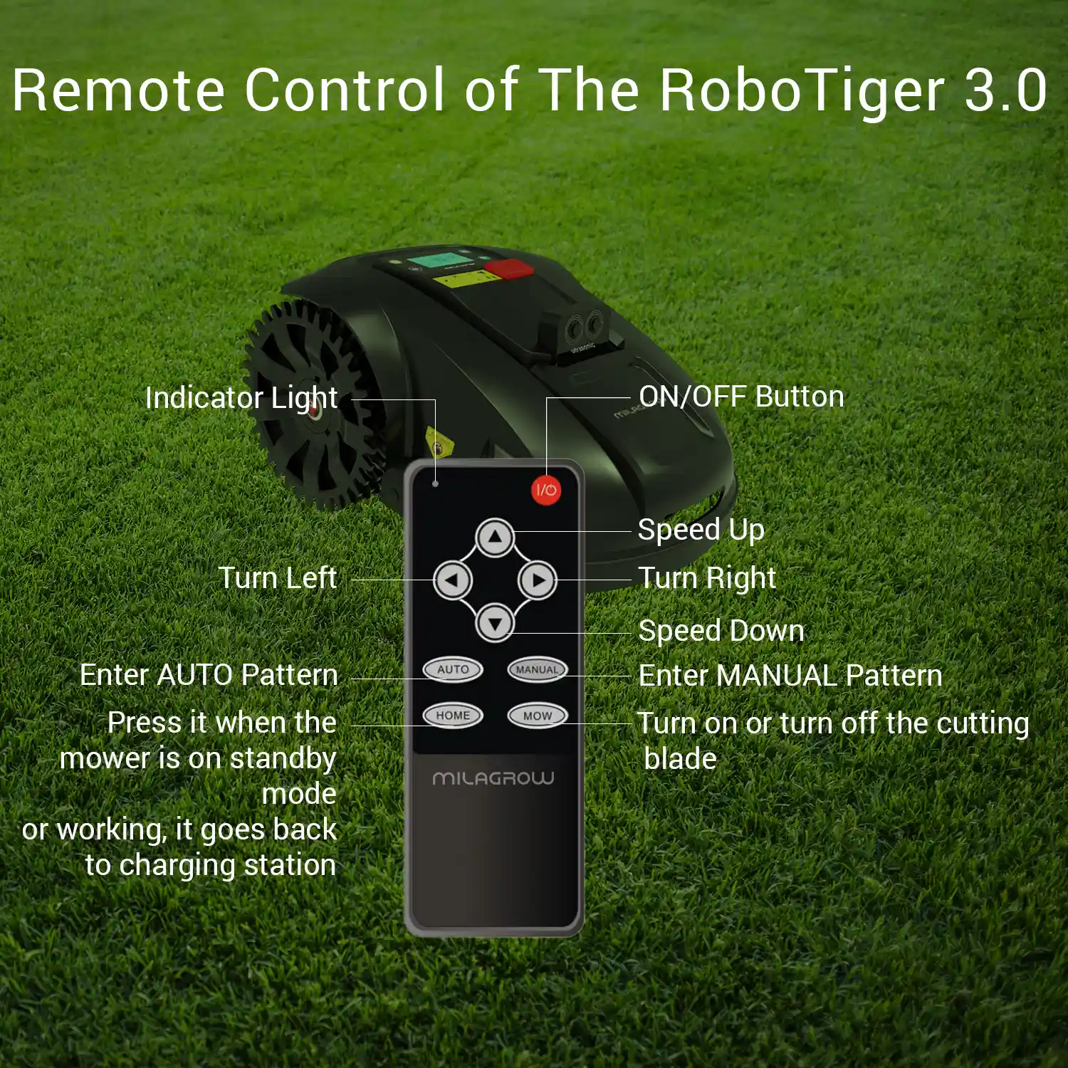 RoboTiger 3.0