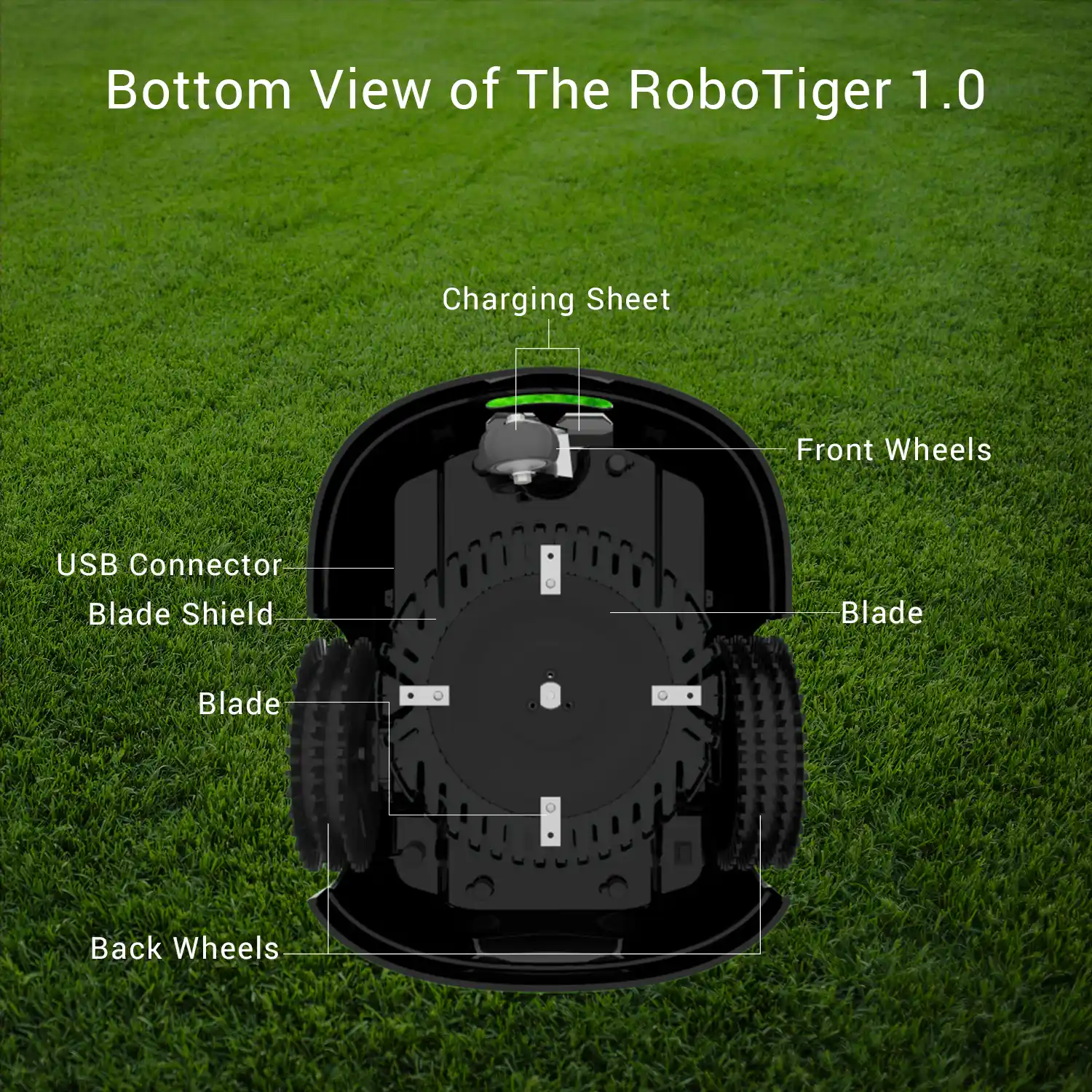 RoboTiger Pro
