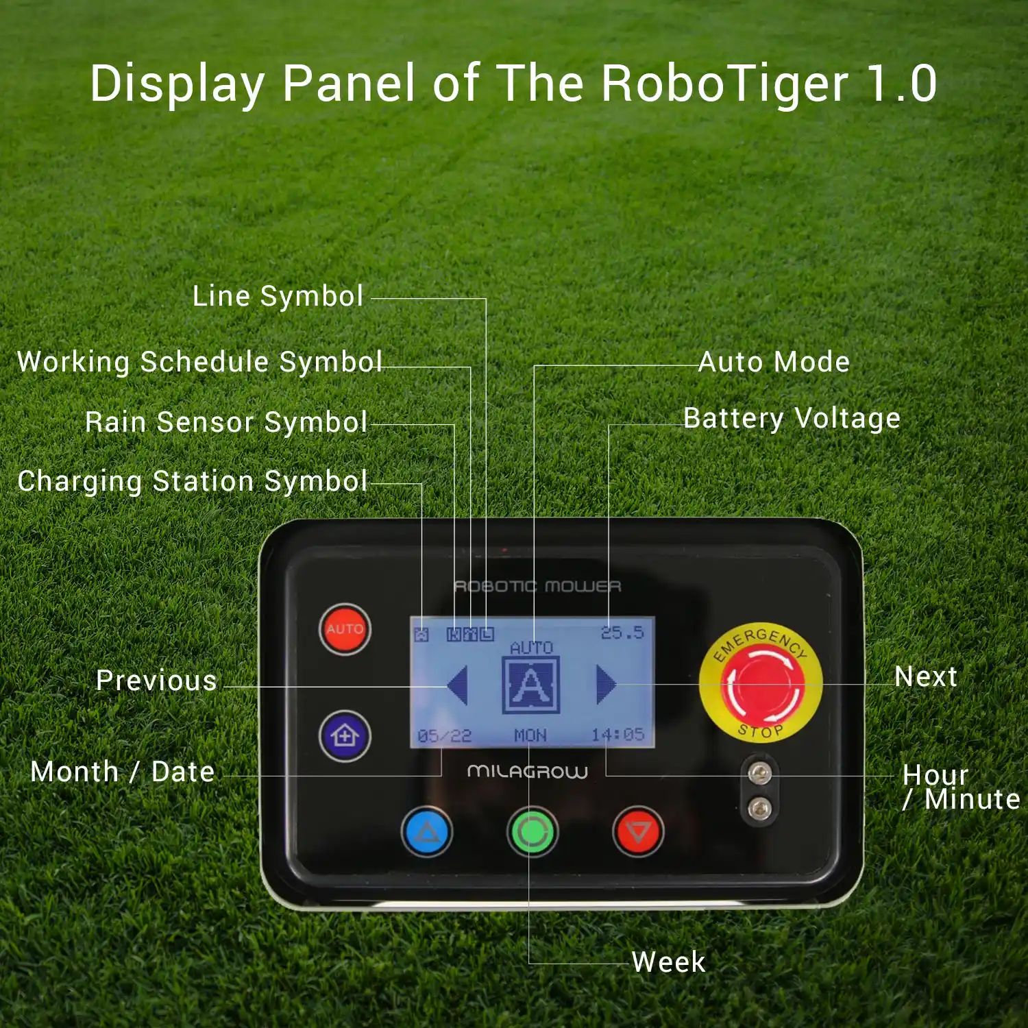 RoboTiger Pro